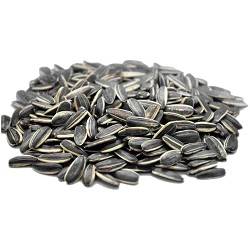 تخمه کانادایی رژیمی فله